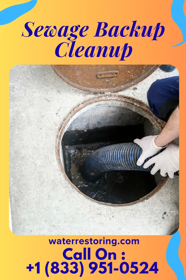 Sewage Backup Cleanup in Lake Aluma, OK