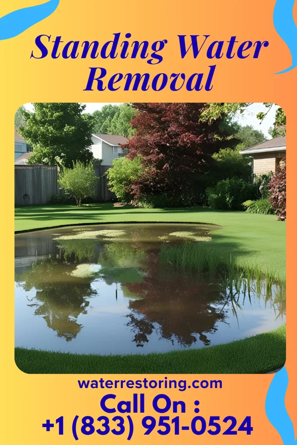 Standing Water Removal in Lake Aluma, OK